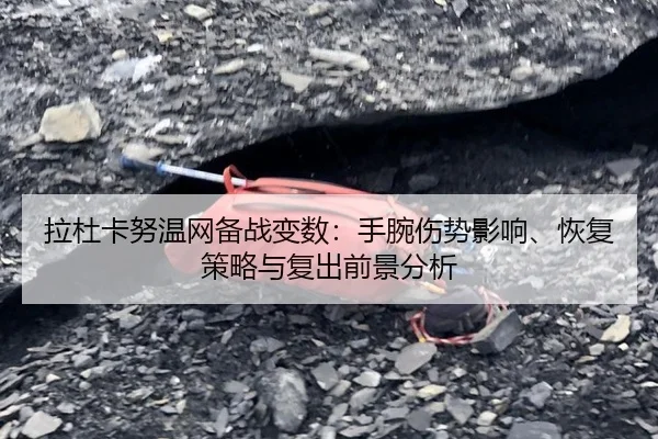 拉杜卡努温网备战变数：手腕伤势影响、恢复策略与复出前景分析
