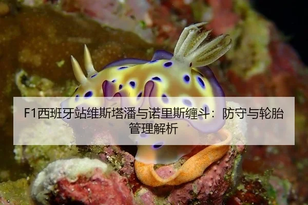 F1西班牙站维斯塔潘与诺里斯缠斗：防守与轮胎管理解析